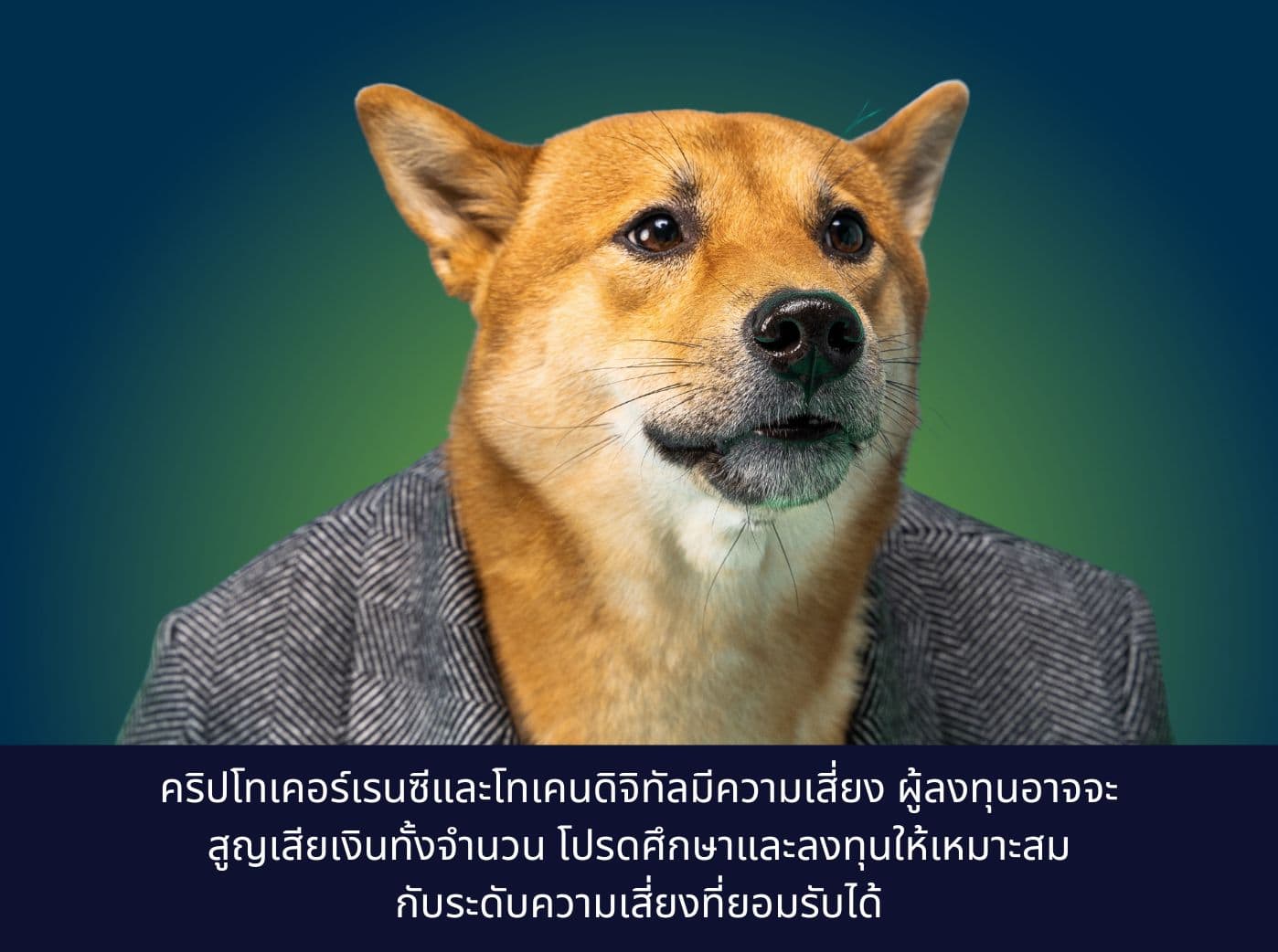 Confused dog face in a business suit looks shocked silly