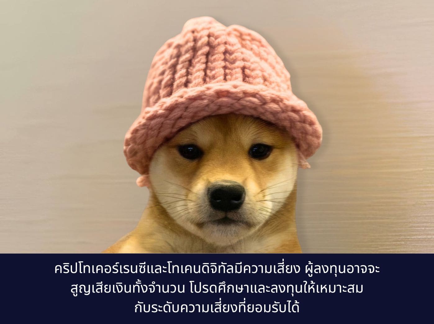 Dogwifhat Coin