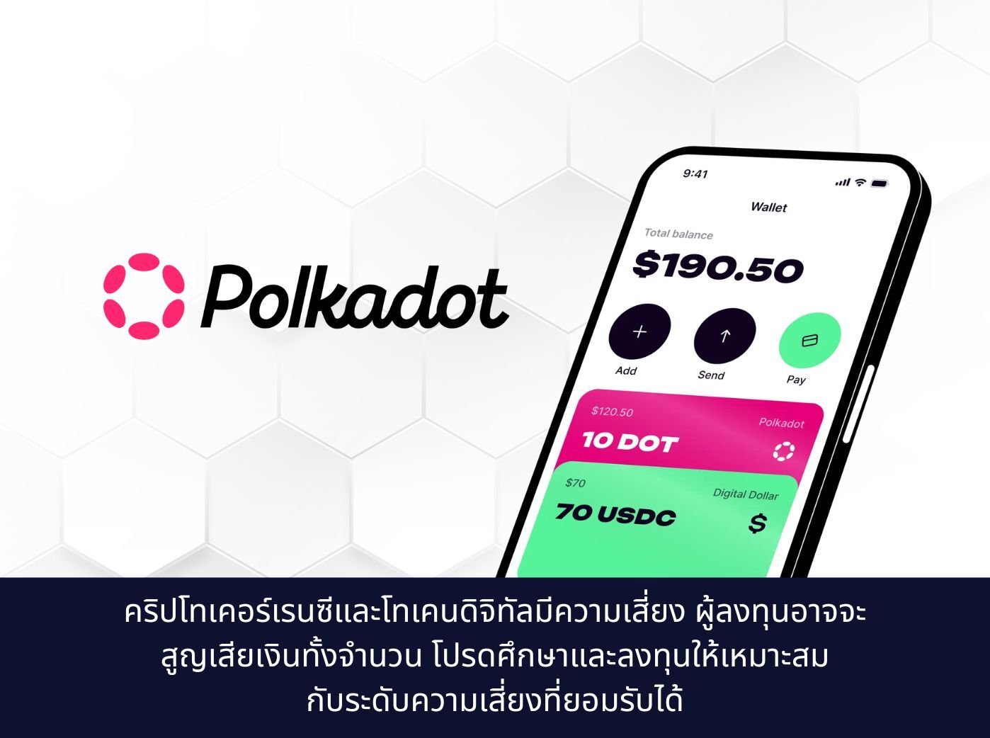 The Polkadot App