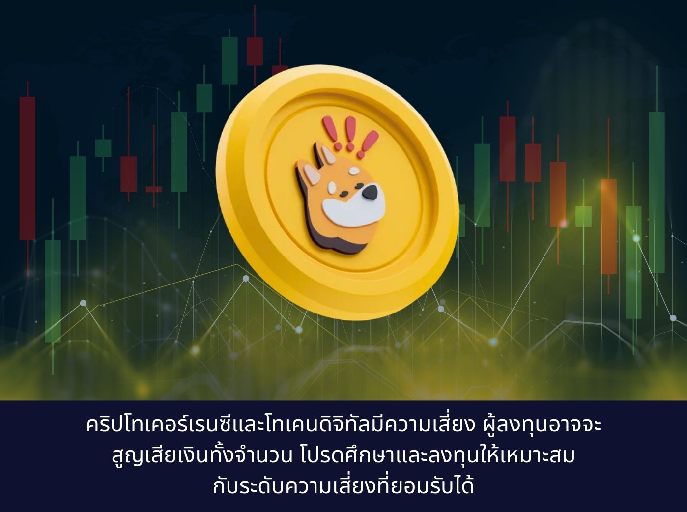 bonk coin graph