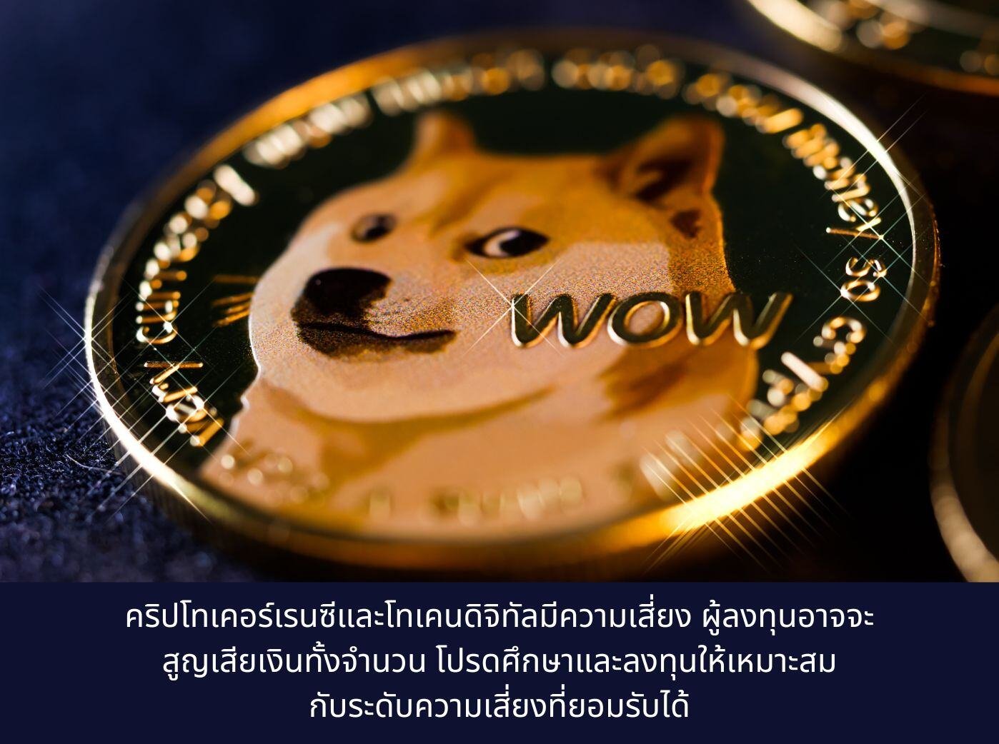 doge coin