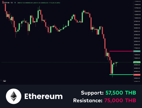 technical-en-02@1-Feb-11-2026-10-52-00-8854-AM