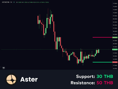 technical-en-03@1-Nov-19-2025-09-03-53-4054-AM