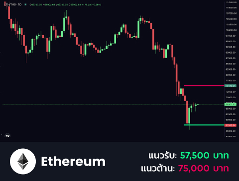 technical-th-02@1-Feb-11-2026-10-50-02-5296-AM