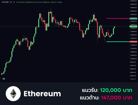 technical-th-02@1-Oct-29-2025-08-50-06-3137-AM