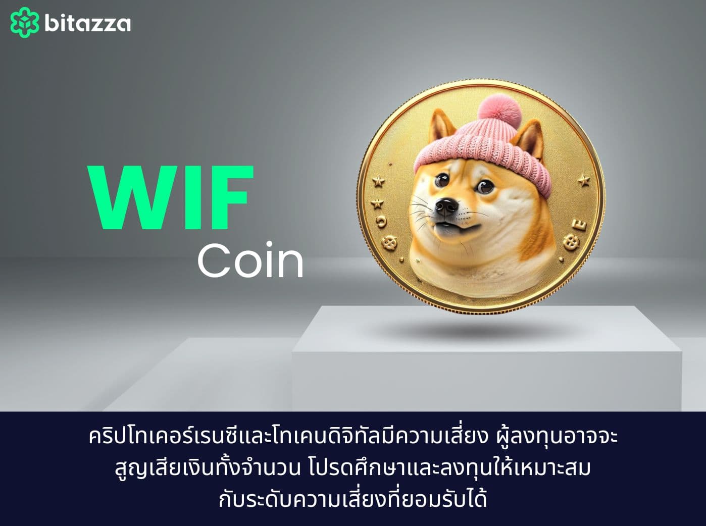 เหรียญ WIF Coin